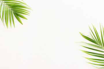 Wall Mural - Image of tropical green palm over white wooden background