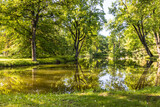 Fototapeta Sawanna - Summer park garden landscape with a duck pond