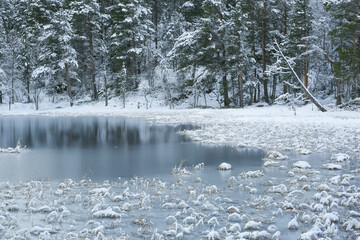 Poster - River Inna, Norway