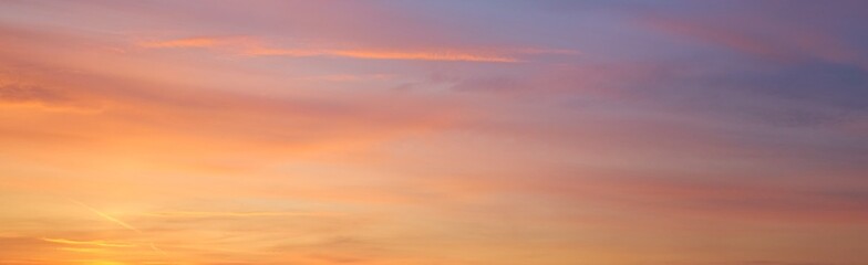 Wall Mural - Clear blue sky. glowing pink and golden cirrus and cumulus clouds after storm, soft sunlight. Dramatic sunset cloudscape. Meteorology, heaven, peace, graphic resources, picturesque panoramic scenery