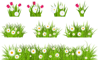 Grass, tulips and daises set. Green flowering meadow collection.