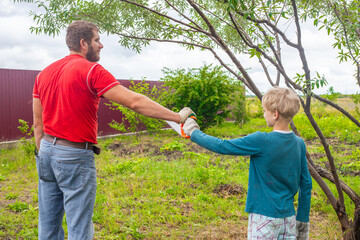 The son helps his father in the garden. A boy gives a man a saw for sanitary pruning of a tree