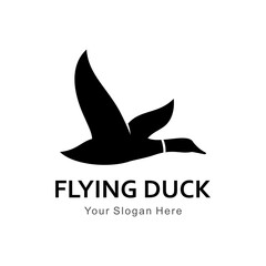 Poster - flying duck logo