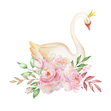 Watercolor Delicate White Princess Swan