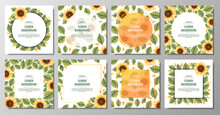 Set Of Square Backgrounds With Sunflowers. Floral Frame With Yellow Flowers And Green Leaves.. Banner, Poster, Flyer, Postcard. Summer Illustration.