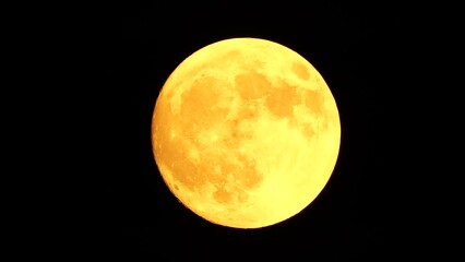 Wall Mural - Glowing yellow huge full moon as seen from earth through the clouds against starry night sky. Large full moon moves across the sky, moon makes its way from bottom left frame to top right.