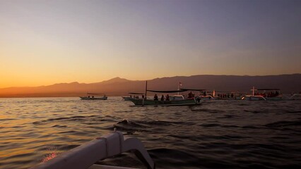 wild free dolphins swim in ocean at sunrise with bright sun and many boats on background. boat trave