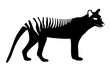 vector tasmanian wolf logo isolated on white
