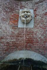 Wall Mural - Fountain in Plebiscito street in Carrara, Tuscany, Italy