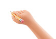 hand holds yellow pencil in blank white background