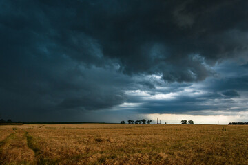 storm over the field