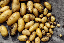 Close Up Of Fresh Potatoes