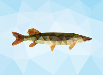 Wall Mural - Polygon pike. Triangle vector fish