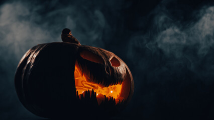 Wall Mural - A creepy pumpkin with a carved grimace in the smoke. Jack o lantern in the dark.