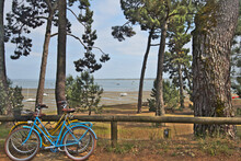 Blue And Yellow Bicycle Are Leaning Against The Fence. Forest, Beach And Sea In The Background.