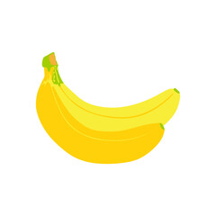 Wall Mural - fresh bananas fruits healthy icons. Bunch of bananas isolated on white background . vector illustration