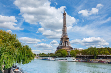 Wall Mural - view of paris with eiffel tower