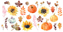 Watercolor Autumn Set: Pumpkins And Plants