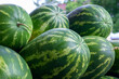 © Dolores  Harvey - A stack of large organic oblong shaped green and yellow striped watermelons on a table at a farmers' market. The African melons have thick peels, with a striped pattern and a juicy interior.