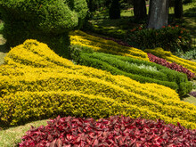 Nuwara Eliya, Sri Lanka - March 10, 2022: View Of The Territory Of The Grand Hotel With Landscaping. Bright Multi-colored Bushes Are Planted For Beauty