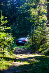 car parked at the forest