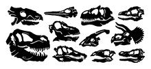 Fossil Dinosaur Silhouette. Dino Skull With Teeth. Bone Skeleton Print Graphic. Dead Ancient Predator. Dinosaur Diplodocus Velociraptor Stegosaurus Triceratops Allosaurus Parasaurolophus Tyrannosaurus