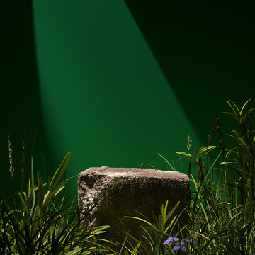 Wall Mural - Product display background natural cosmetic, abstract scene in forest. 3d rendering of stone podium and grass