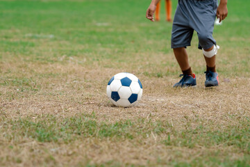 Wall Mural - Football soccer children training class. Kindergarten and elementary school kids playing football in a field. Group of boys running and kicking soccer on sports grass pitch. Selective focus on ball.