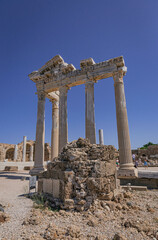 Wall Mural - Columns of the Temple of Apollo in Side, Turkey