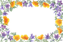 Template, Frame With Bluebell (rapunzel, Bellflower, Campanula Patula) And Golden Eschscholzia (California Poppy) Flowers. Watercolor Painting Illustration Isolated On White Background