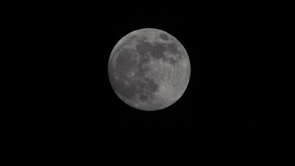 Wall Mural - Full Moon On Dark Night, shines in the sky without clouds. Closeup shot of the Full moon moving across the sky