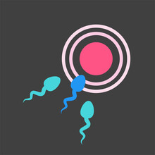 The Sperm Is Moving Toward The Pink Ovum. Isolated Vector Illustration.