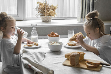 two little girls in white t-shirts have breakfast at home in the kitchen with natural and healthy products, cottage cheese and cornbread, milk and boiled chicken eggs