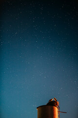 Wall Mural - Night Clear Sky. Storks Sit On A Water Tower. Starry Sky At Night. Night Romance Concept. Family, Relationships. Two Adult European White Storks - Ciconia Ciconia Sit On A Water Tower. Belarusian