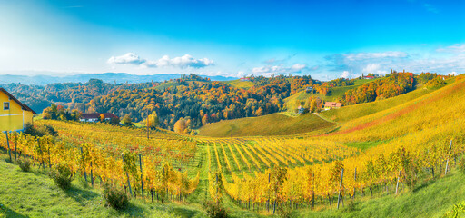  Breathtaking vineyards landscape in South Styria near Gamlitz.