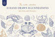11 Hand drawn illustrations, Seafood & Seashell (Vector)