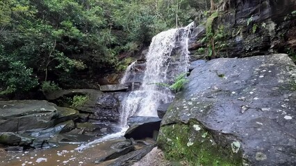 Canvas Print - Waterfall in the rainforest after rain.