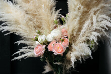 Reeds On A Dark Background. Fluffy Pompa Grass. Background Of Reed Panicles. Horizontal Photo