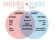 Aerobic vs. anaerobic bacteria venn diagram
