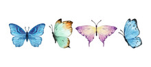 Colorful Butterflies Watercolor Isolated On White Background. Purple, Orange, Yellow And Red Butterfly. Spring Animal Vector Illustration