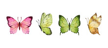 Colorful Butterflies Watercolor Isolated On White Background. Pink, Green, Brown, Yellow Butterfly. Spring Animal Vector Illustration