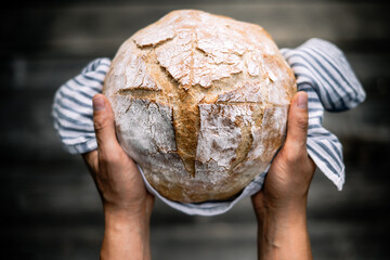 Traditional leavened sourdough bread in baker hands on a rustic wooden table. Healthy food photography