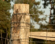 Selective Focus Shot Of A Weathered Fence Post Wrapped With Barbed Wire