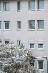 Sticker - White residential building and trees covered in snow