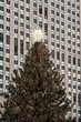 Decorated Christmas tree with a shining star on the top at Rockefeller Center