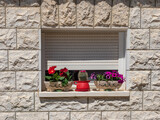 Fototapeta  - The window is closed with electric blinds in the stone wall of the house.