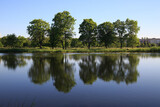Fototapeta Krajobraz - Summer landscape with trees reflected in the water on a sunny day.