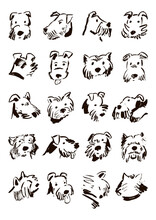 Funny Dog Faces Illustrations Vector Set, Poster For Kids.