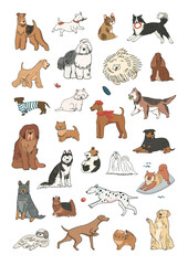 Funny dog illustrations vector set, poster for kids.