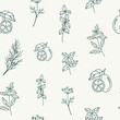 Sketch essential oil plants seamless pattern. Cypress, lime, fennel, lemon verbena, spearmint, marjoram